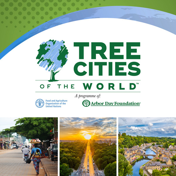 Birmingham Earns Prestigious Tree Cities of the World Status